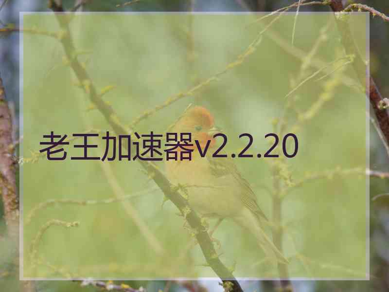 老王加速器v2.2.20