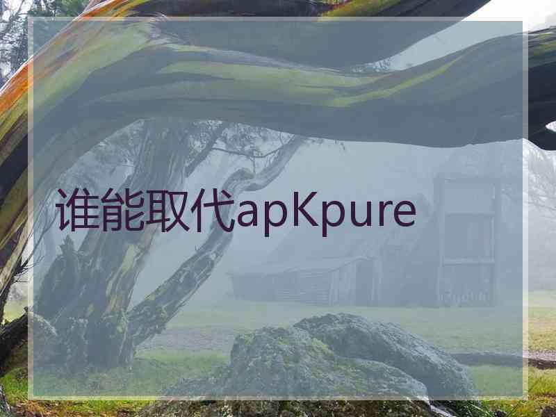 谁能取代apKpure